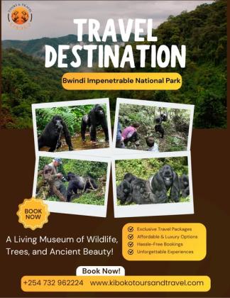 Book Mount Kilimanjaro Climb Safari Package Today