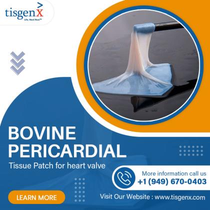 Bovine Pericardial Tissue Patch for heart valve