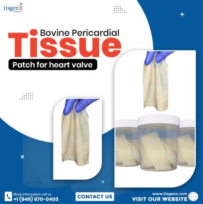 Bovine Pericardial Tissue Patch for heart valve