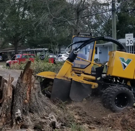 Bushor’s Tree Surgeons