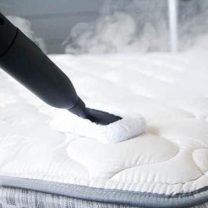 Carpet Cleaning Experts in Brisbane – Reliable & Affordable