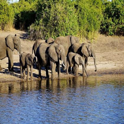Discover the Wonders of Ngorongoro Crater Safari Tours with Fair Tanzania Safaris