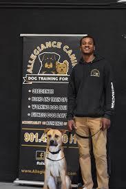 Dog Training In Memphis TN