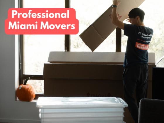 Dynamic Movers Miami