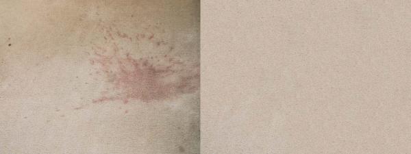 Elliot's Carpet Cleaning - Witham