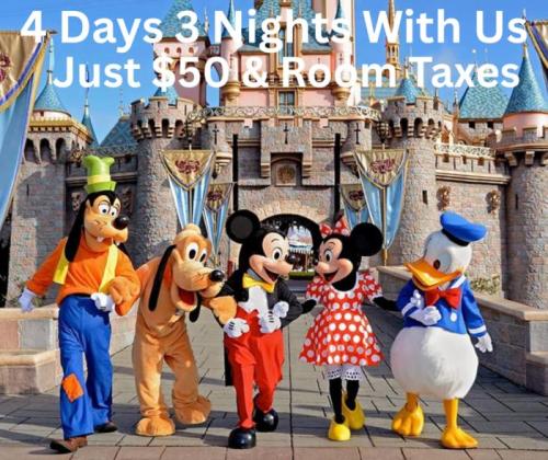 Help Our Veterans & Get a Free Vacation—Yes, Really