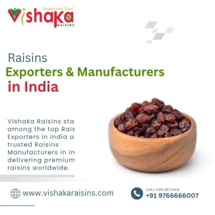Leading Raisins Exporters & Manufacturers in India | Vishaka Raisins