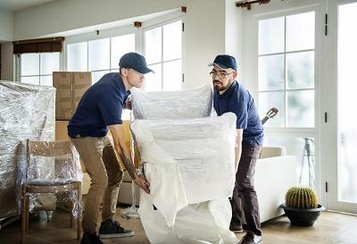 Next Level Removalists