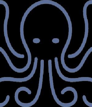 Octopus Moving and Storage
