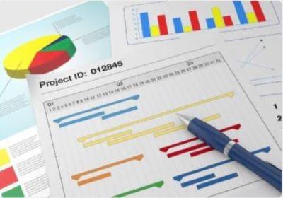 Outsourcing Project Manager