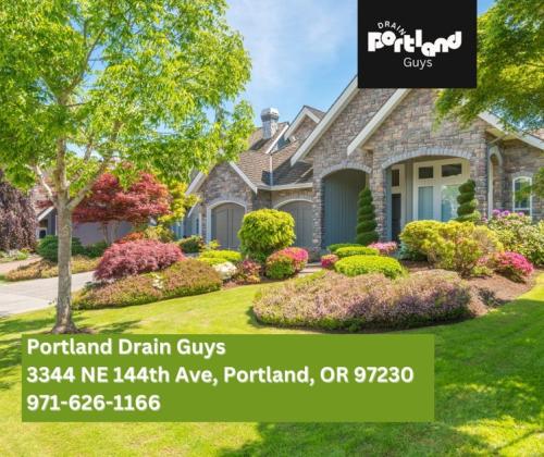 Portland Drain guys