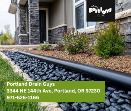 Portland Drain guys