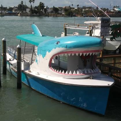 Private Boat Charters for Dolphin Watching and Sunset Cruises