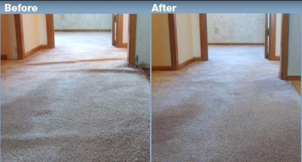 Pure Comfort Starts Here – Carpet Cleaning Services in Rochester Hills