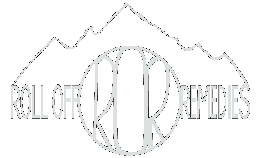 Roll Off Dumpster Rental Denver, CO | Dumpster Company - 2019