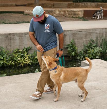 San Antonio Dog Trainer