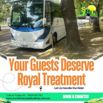 Sydney Conference Shuttle Bus for Seamless Transfers