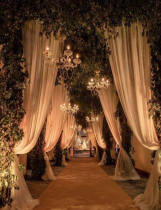 Top Wedding Decorators in Udaipur | Verified & Rated Services