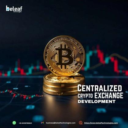 Trade Confidently using Centralized Crypto Exchanges - Beleaf Technologies