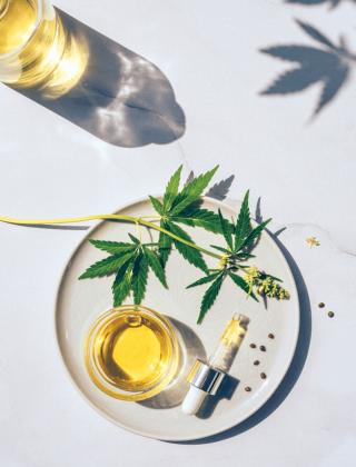 Virginia Medical Marijuanas Card