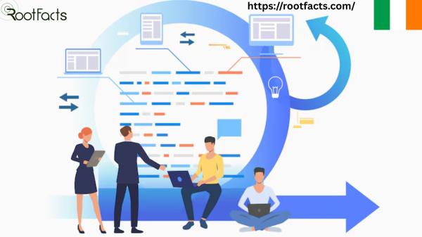 Which companies provide the best IT Outsourcing Services in Galway?