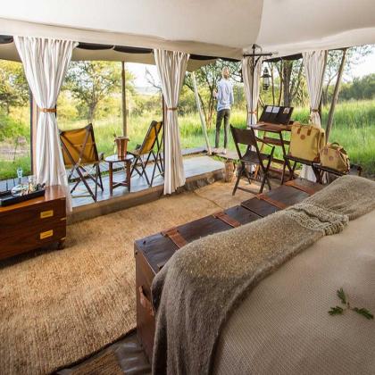 Your Ultimate Tanzania Safari Tour Awaits – Travel with KIBOKO SAFARIS