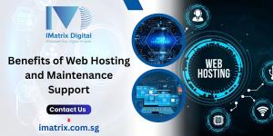 Benefits of Web Hosting and Maintenance Support