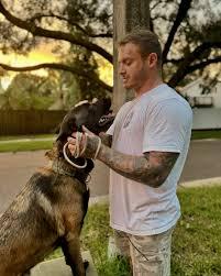 Best Dog Trainer in Tampa FL