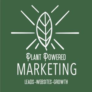 Custom Website Development Services​