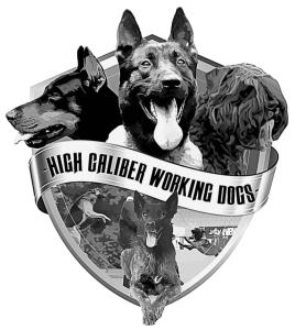 Dog training near me