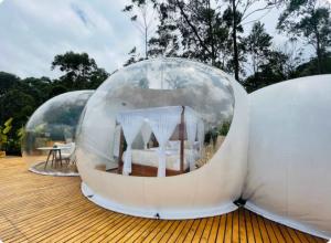 Mountain View Staycation Munnar | Luxury Glamping in Munnar