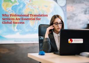 Professional Translation Services