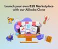 Alibaba Clone is your fast-track solution to success