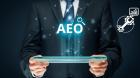 Artificial Intelligence Optimization (AIO)