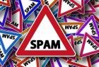 Balancing Effective Spam Protection with User Privacy
