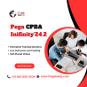 Certified Pega Business Architect '24  OnlineTraining By IT professionals – PegaGang