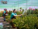 Customized Outdoor Solutions with Residential Landscaping Services