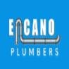 Emergency Richmond Plumber