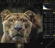Image background removal service