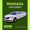 Mississauga Party Bus