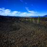 Mount St. Helens guided tours
