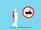 Pest Control In Sandton - JT Solution
