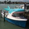 Private Boat Charters for Dolphin Watching and Sunset Cruises
