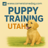 Puppy Training Utah – Where Little Paws Learn Big Lessons