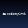 SaaS Application Development Services