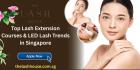 Top Lash Extension Courses & LED Lash Trends in Singapore