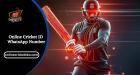 Top Tips for Using Your Online Cricket ID WhatsApp Number Effectively