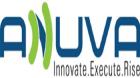 wordpress seo company