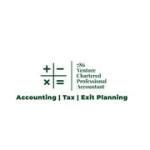 786 venture CPA