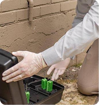Alta Pest Control